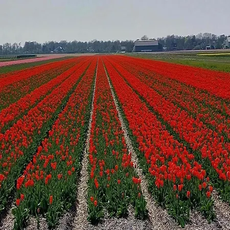 For 4 People Near * Sint Maartensvlotbrug