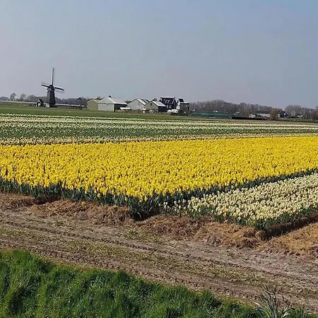 Vakantiehuis Cosy Near