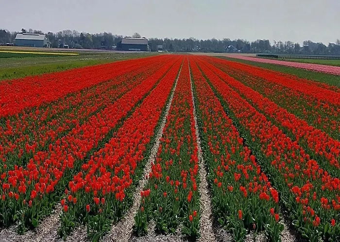 Cosy Near Сasa de vacaciones *