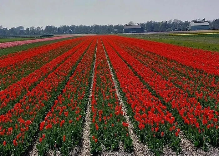 Cosy Near * Sint Maartensvlotbrug