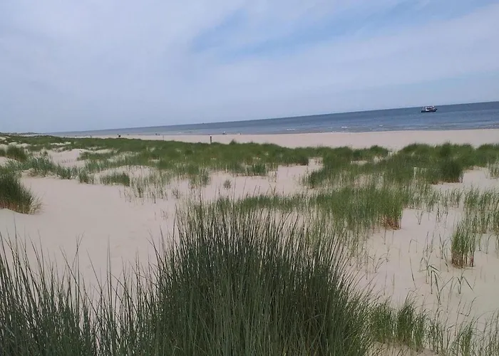 Cosy Near * Sint Maartensvlotbrug