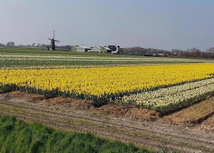 בית נופש Cosy Near