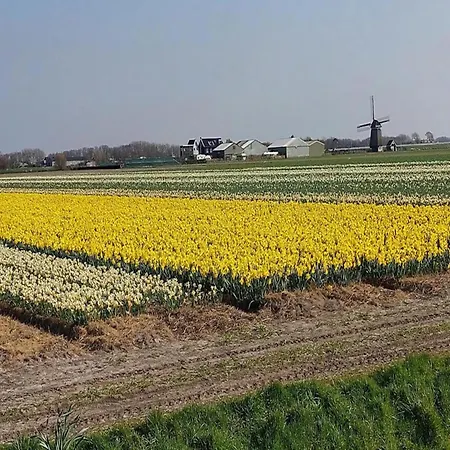 Σπίτι διακοπών Cosy Near